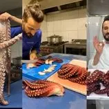 ببینید| غذای خیابانی در ترکیه؛ پخت اختاپوس به دو روش توسط سرآشپز ماهر