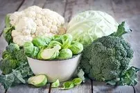 ۵ دلیل علمی برای این که هر روز سبزیجات بخوریم