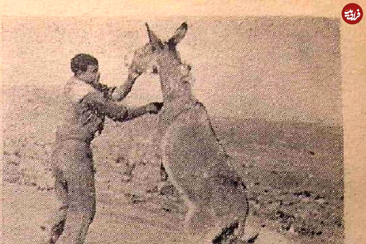 (عکس) سفر به ایران قدیم؛ بالاخره تصویر «اصغر خرکُش» جلاد الاغ‌ها منتشر شد!