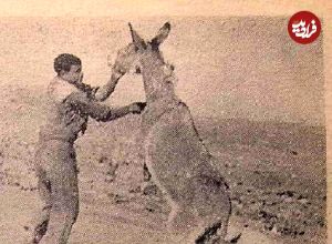 (عکس) سفر به ایران قدیم؛ بالاخره تصویر «اصغر خرکُش» جلاد الاغ‌ها منتشر شد!