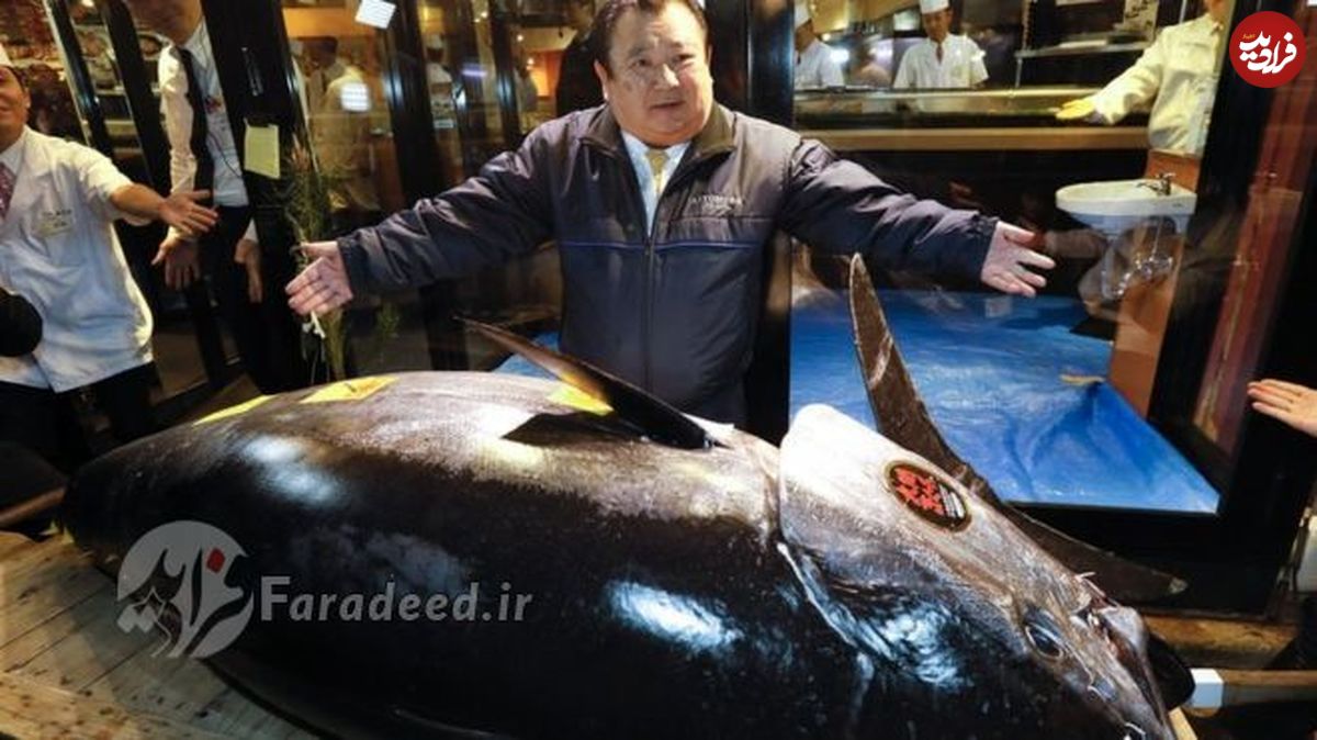 رکورد سلطان سوشی با ماهی سه میلیون دلاری