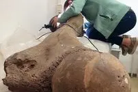 کشف راز استخوان‌های غول‌آسای ۱۲۵ هزار ساله