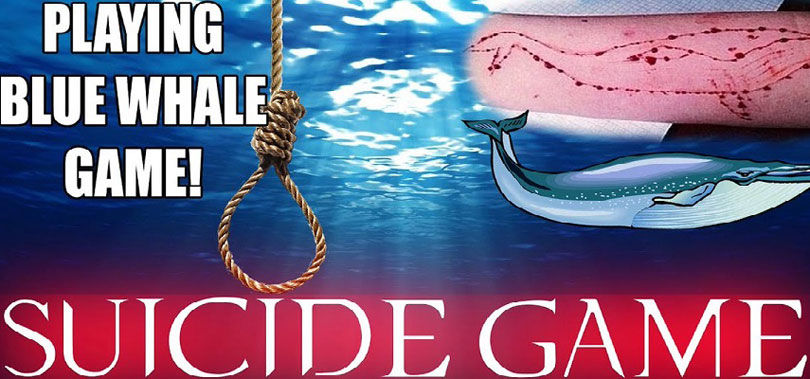 نخستین قربانیان نهنگ آبی در ایران