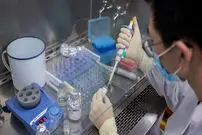 بیماری جدید در چبن با نشت یک باکتریِ آزمایشگاهی