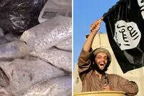 تبلیغ معجون جادویی داعش در فضای مجازی!