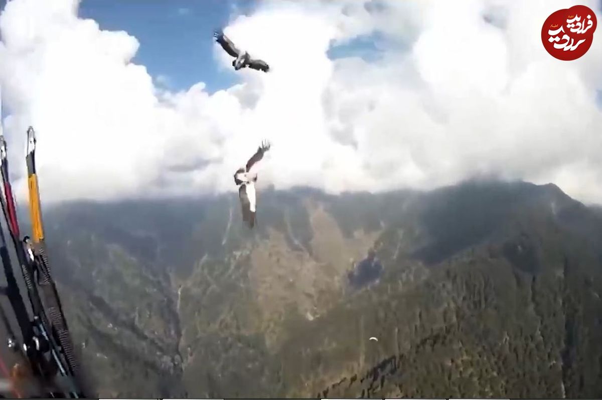 (ویدئو) عقاب‌ها، پاراگلایدر را در آسمان ساقط کردند!