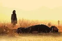 فیلم "شیطان وجود ندارد"، اعتراضی بزرگ به اجبار
