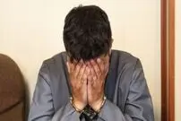 سرقت‌های سریالی برای انتقام از خانم مهندس