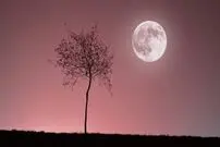 امشب ماه صورتی را رصد کنید