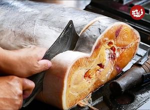 ببینید| غذای خیابانی در تایلند؛ برش گربه ماهی غول پیکر و تهیه دو نوع غذا با آن در بانکوک