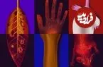 همه ما می‌درخشیم؛ اما چرا؟