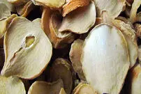 گیاهی مؤثر برای متوقف کردن سلولهای سرطانی