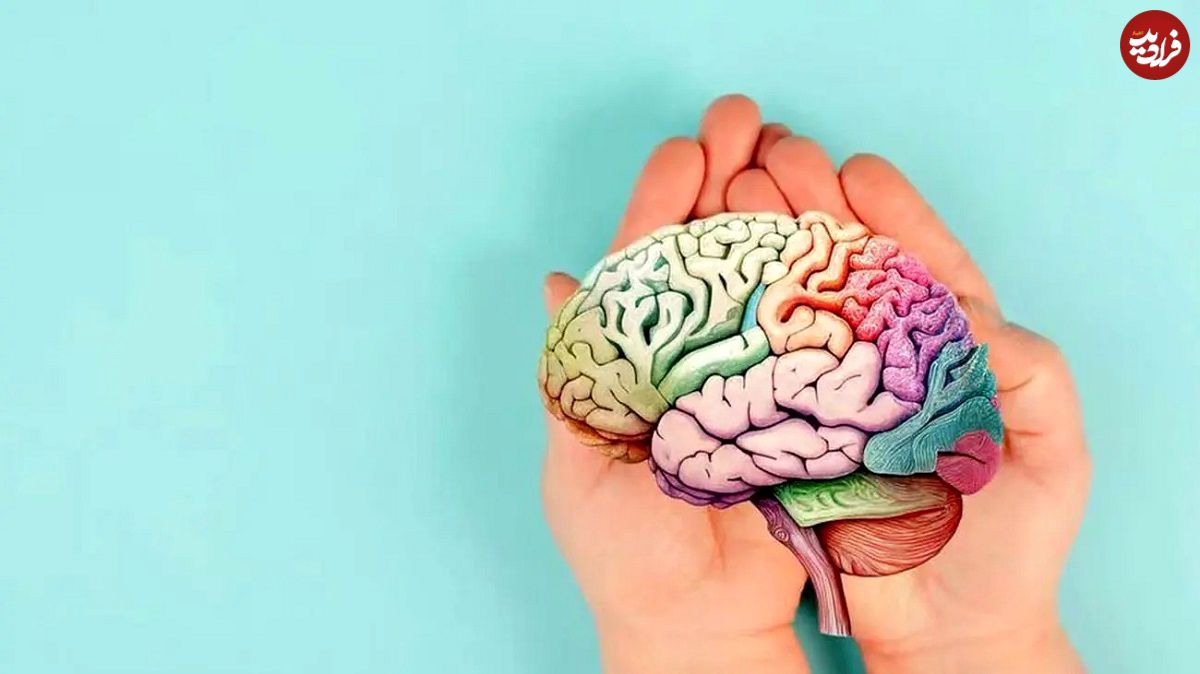 سکوت کنید تا مغزتان سلامت بماند