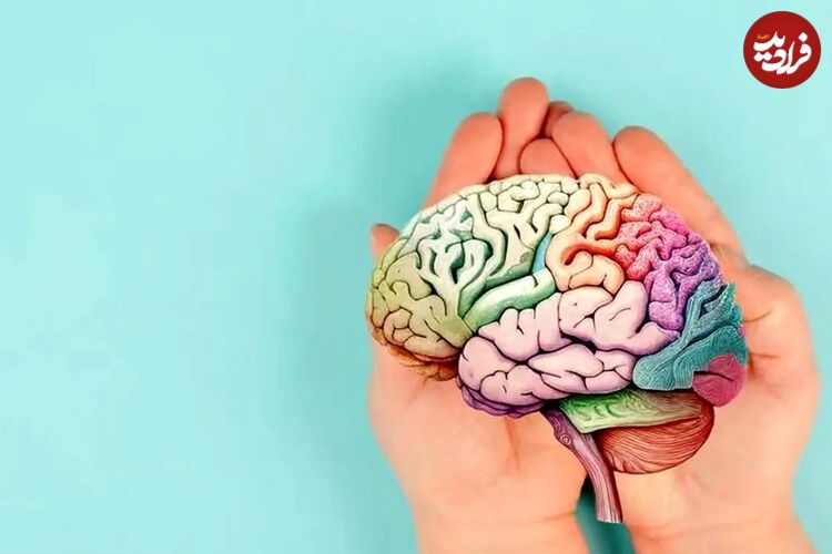 سکوت کنید تا مغزتان سلامت بماند