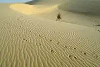 جنگِ آب در آفریقای تشنه