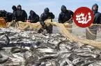 عکس| سفر زمان؛ ماهیگپیرهای مازندرانی در ساحل دریا؛ 140 سال قبل