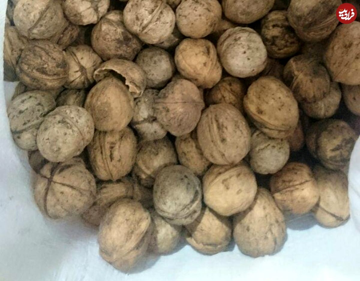 هر کیلو گردو، چندتا گردو است؟