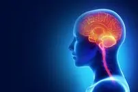 برای حفظ سلامت مغزتان این ۶ عادت غلط را کنار بگذارید!