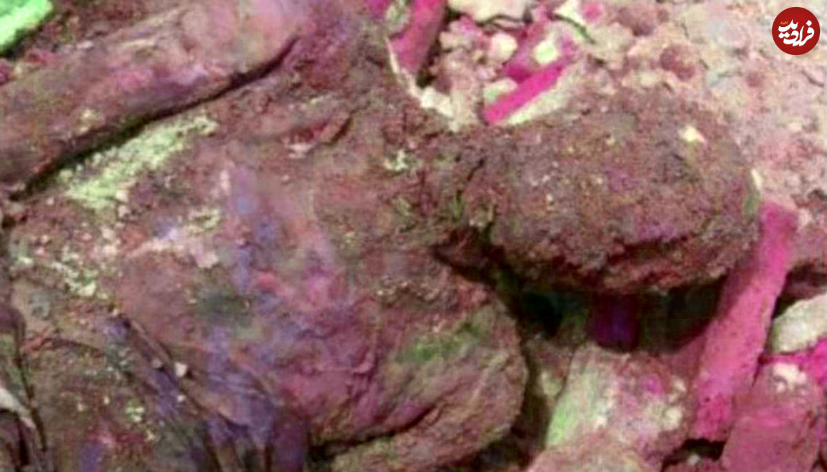 ماجرای مومیایی پیدا شده در شهرری