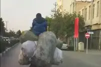 (ویدئو) اقدام خطرناک و جنون‌آمیز یک موتورسوار برای حمل بار در مشهد!