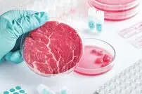 تولید گوشت مصنوعی با عطر چربی‌های آزمایشگاهی؛ هر روز واقعی‌تر از قبل
