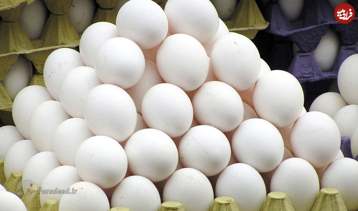 بلوای تخم مرغ در بازار؛ چرا هر روز یک کالا هیاهو به پا می‌کند؟