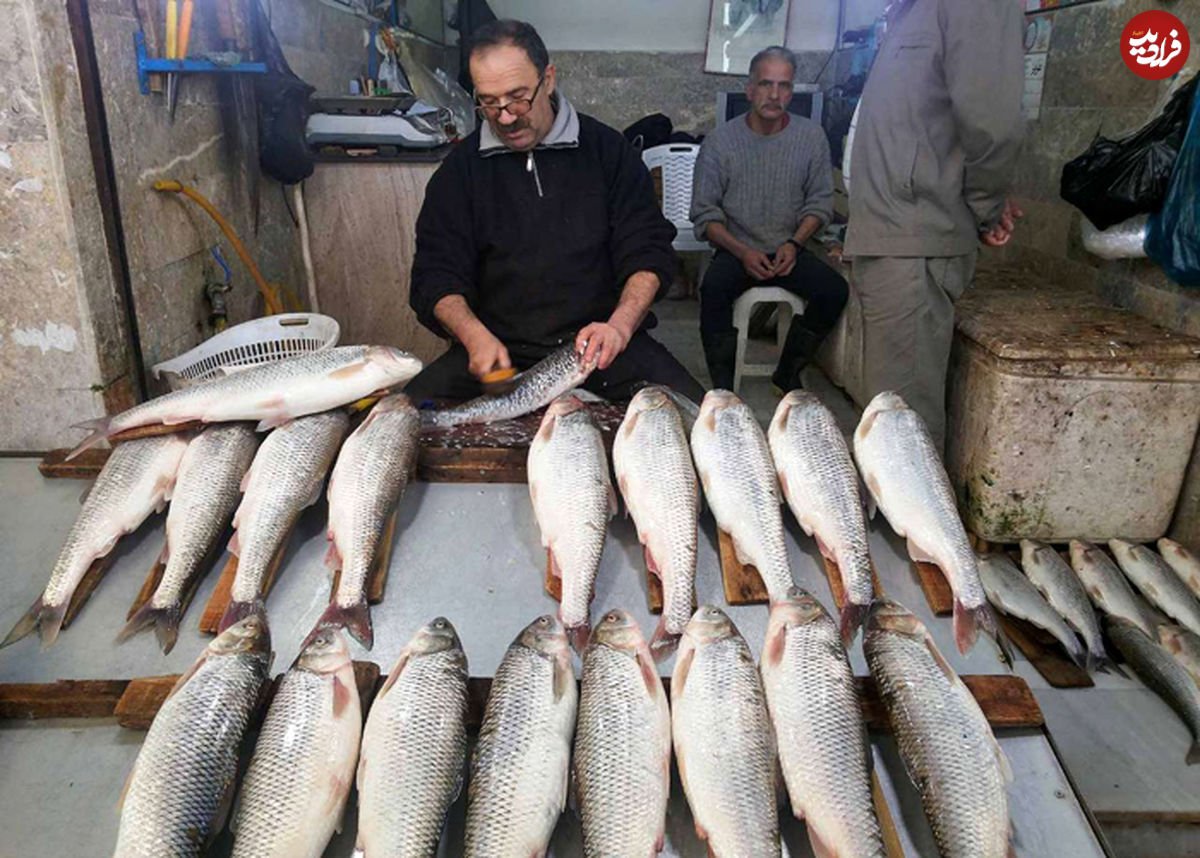 چرا ایرانی‌ها با ماهی قهرند؟