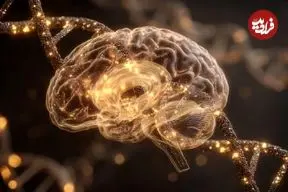 عکس؛ موجوداتی عجیب که بدون مغز فکر می‌کنند