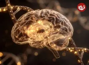 عکس؛ موجوداتی عجیب که بدون مغز فکر می‌کنند