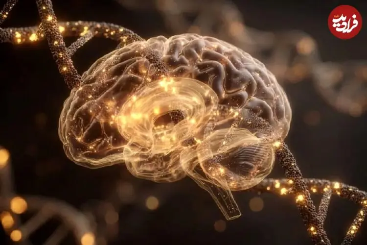 عکس؛ موجوداتی عجیب که بدون مغز فکر می‌کنند