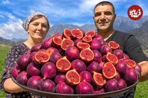 ببینید؛ غذای روستایی در آذربایجان؛ تهیه مربا و تارت با انجیر در روستایی کوهستانی