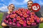 ببینید؛ غذای روستایی در آذربایجان؛ تهیه مربا و تارت با انجیر در روستایی کوهستانی