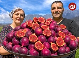 ببینید؛ غذای روستایی در آذربایجان؛ تهیه مربا و تارت با انجیر در روستایی کوهستانی