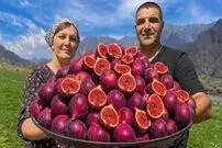 ببینید؛ غذای روستایی در آذربایجان؛ تهیه مربا و تارت با انجیر در روستایی کوهستانی