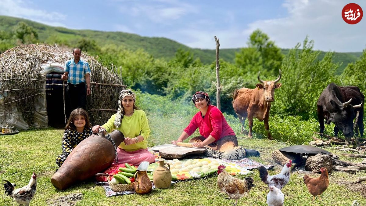 ببینید؛ غذای روستایی در گیلان؛ دوشیدن شیر گاو و تهیه کره سنتی در دل طبیعت