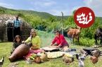 ببینید؛ غذای روستایی در گیلان؛ دوشیدن شیر گاو و تهیه کره سنتی در دل طبیعت