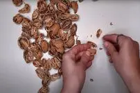(ویدئو) پوست گردو را دور نریزید، این وسیله ضروری را با آن بسازید