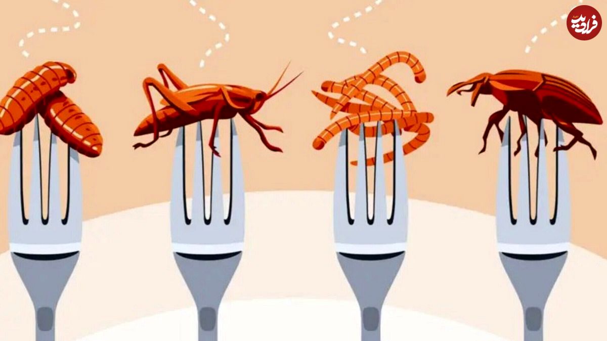 چطور خوردن حشرات به نظریه‌ توطئه تبدیل شد؟