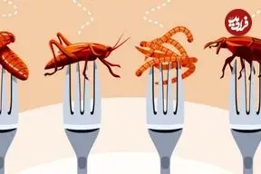 چطور خوردن حشرات به نظریه‌ توطئه تبدیل شد؟