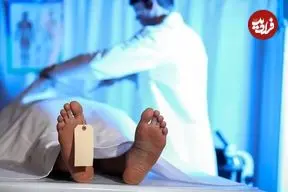 استارتاپ آمریکایی بقایای اجساد را به چیزی تبدیل می‌کند که اصلاً فکرش را نمی‌کنید