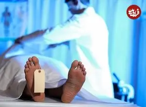 استارتاپ آمریکایی بقایای اجساد را به چیزی تبدیل می‌کند که اصلاً فکرش را نمی‌کنید