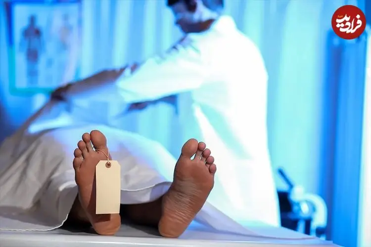 استارتاپ آمریکایی بقایای اجساد را به چیزی تبدیل می‌کند که اصلاً فکرش را نمی‌کنید