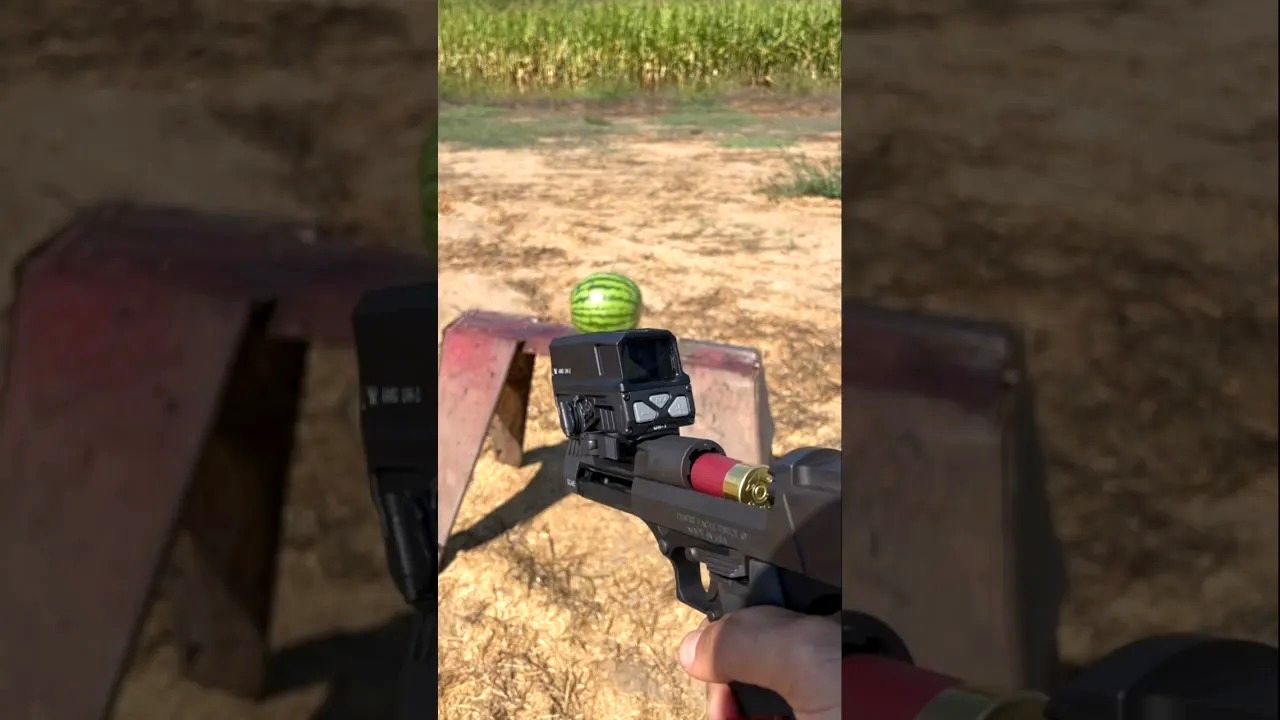 (ویدئو) اگر با تفنگ ساچمه ای به هندوانه شلیک کنید، چه اتفاقی رخ می دهد؟