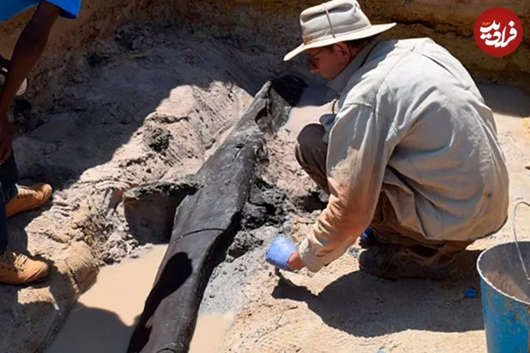 کشف قدیمی‌ترین سازه چوبی ساخته شده به دست انسان با قدمت نیم میلیون سال در زامبیا