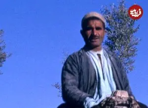 عکس| سفر به ایران قدیم؛ «کاروان شترها» در یکی از خیابان‌های اصفهان؛ 65 سال قبل