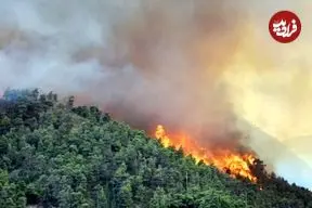 ببینید؛ استوری سلبریتی‌های مشهور درباره یک حادثه تلخ