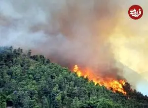 ببینید؛ استوری سلبریتی‌های مشهور درباره یک حادثه تلخ