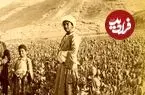 عکس| سفر به ایران قدیم؛ مزرعۀ «خشخاش» در اطراف اصفهان در دوران قاجار