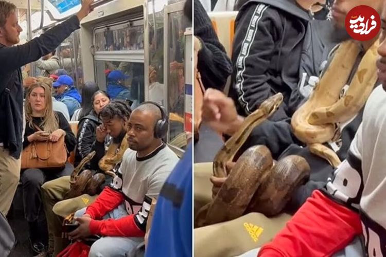 (ویدئو+عکس) مسافری که با دو مار پیتون ترسناک سوار مترو شده است 
