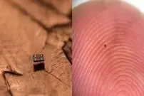 ربات‌هایی کوچکتر از دانۀ شن که می‌توانند شنا کنند